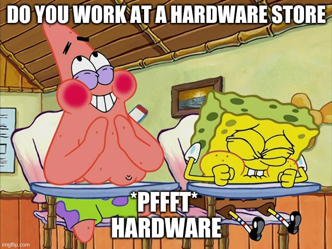 Software engineers | DO YOU WORK AT A HARDWARE STORE; *PFFFT* 
HARDWARE | image tagged in funnier than 24 | made w/ Imgflip meme maker