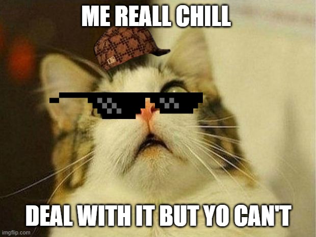 Scared Cat Meme | ME REALL CHILL; DEAL WITH IT BUT YO CAN'T | image tagged in memes,scared cat | made w/ Imgflip meme maker