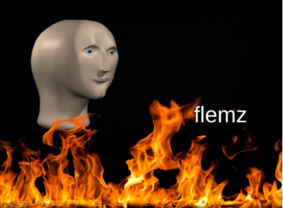 Flemz | image tagged in flemz | made w/ Imgflip meme maker