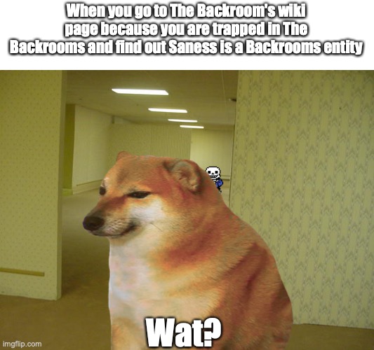 Wat? | When you go to The Backroom's wiki page because you are trapped in The Backrooms and find out Saness is a Backrooms entity; Wat? | image tagged in the backrooms | made w/ Imgflip meme maker