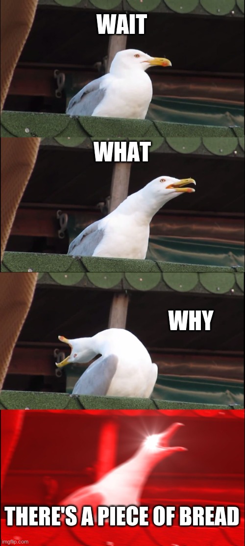 Inhaling Seagull | WAIT; WHAT; WHY; THERE'S A PIECE OF BREAD | image tagged in memes,inhaling seagull | made w/ Imgflip meme maker