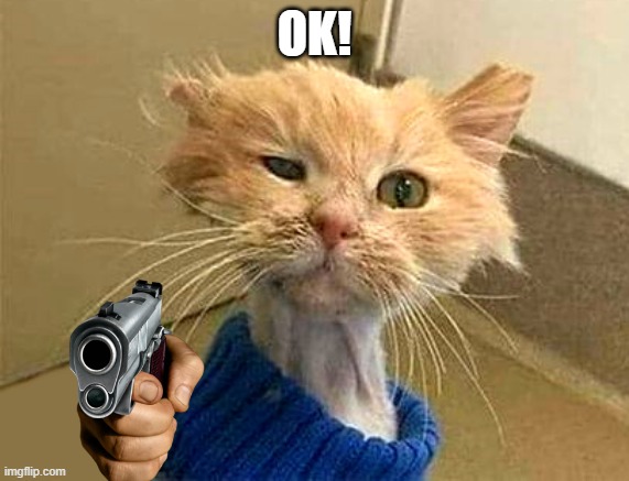 OK! | image tagged in wtf-cat | made w/ Imgflip meme maker