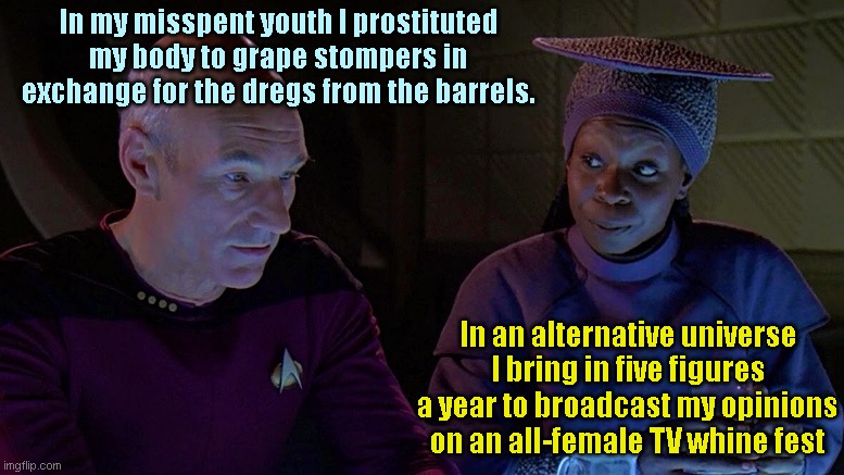 Picard and Guinan confessions | In my misspent youth I prostituted my body to grape stompers in exchange for the dregs from the barrels. In an alternative universe I bring in five figures a year to broadcast my opinions on an all-female TV whine fest | image tagged in picard and guinan,confessions,star trek the next generation,the view,humor | made w/ Imgflip meme maker