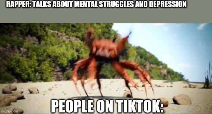 dont take it personal | RAPPER: TALKS ABOUT MENTAL STRUGGLES AND DEPRESSION; PEOPLE ON TIKTOK: | image tagged in crab rave | made w/ Imgflip meme maker