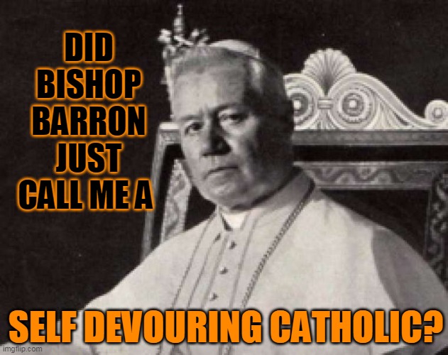 DID BISHOP BARRON JUST CALL ME A; SELF DEVOURING CATHOLIC? | made w/ Imgflip meme maker