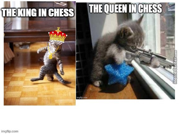 Kings are so trash. | image tagged in chess | made w/ Imgflip meme maker