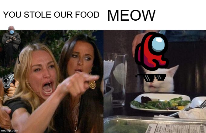 Woman Yelling At Cat Meme | YOU STOLE OUR FOOD; MEOW | image tagged in memes,woman yelling at cat | made w/ Imgflip meme maker