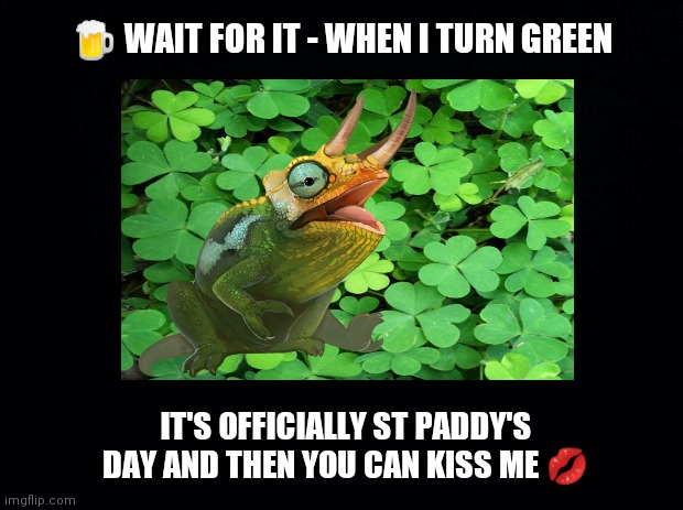 Kiss Me I'm Irish | 🍺 WAIT FOR IT - WHEN I TURN GREEN; IT'S OFFICIALLY ST PADDY'S DAY AND THEN YOU CAN KISS ME 💋 | image tagged in st patrick's day,lizard,kiss me,irish,funny,green | made w/ Imgflip meme maker
