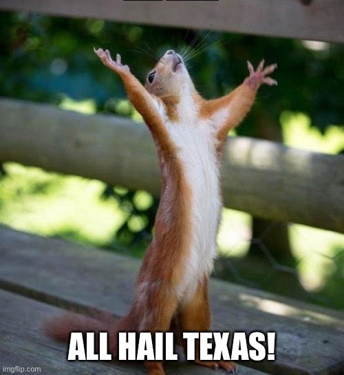 All Hail | ALL HAIL TEXAS! | image tagged in all hail | made w/ Imgflip meme maker