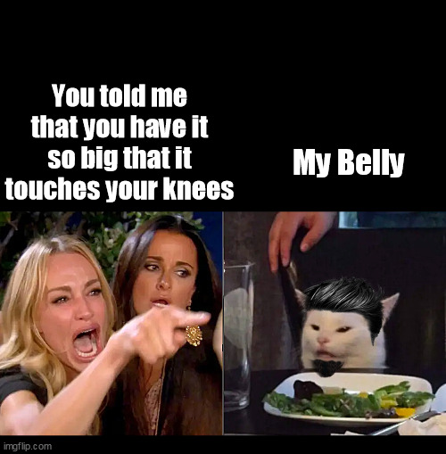 You toldme that you have it huge | You told me that you have it so big that it touches your knees; My Belly | image tagged in white cat table cool hair,white cat lady yelling,you told me,viral,funny cat | made w/ Imgflip meme maker