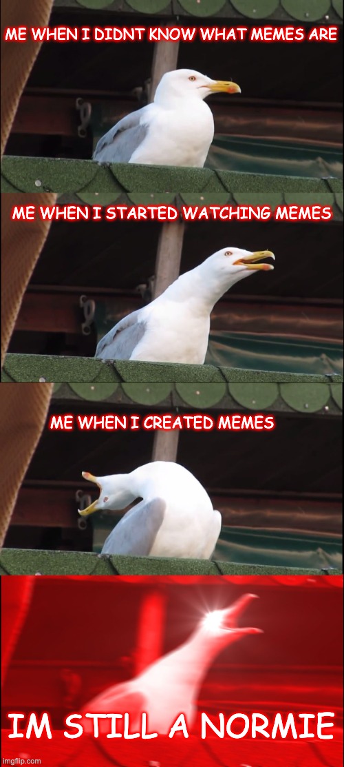 im a normie |  ME WHEN I DIDNT KNOW WHAT MEMES ARE; ME WHEN I STARTED WATCHING MEMES; ME WHEN I CREATED MEMES; IM STILL A NORMIE | image tagged in memes,inhaling seagull,normie | made w/ Imgflip meme maker