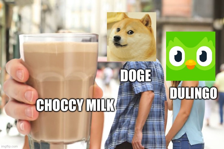 duolingo Is a dead meme | DOGE; DULINGO; CHOCCY MILK | image tagged in duolingo | made w/ Imgflip meme maker