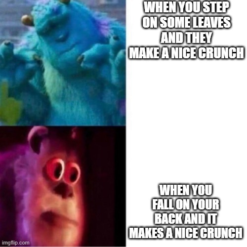 OOF |  WHEN YOU STEP ON SOME LEAVES AND THEY MAKE A NICE CRUNCH; WHEN YOU FALL ON YOUR BACK AND IT MAKES A NICE CRUNCH | image tagged in monsters inc | made w/ Imgflip meme maker
