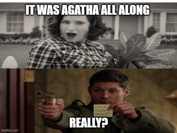 Blank White Template | IT WAS AGATHA ALL ALONG; REALLY? | image tagged in blank white template | made w/ Imgflip meme maker