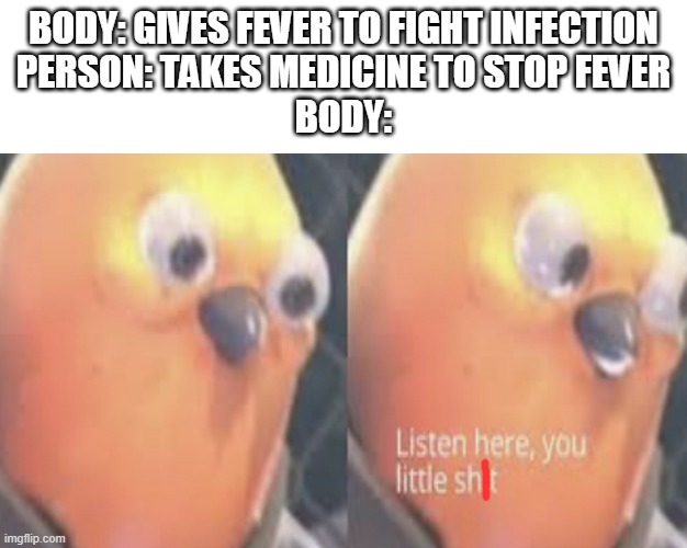The dumbest medicine invention ever created | BODY: GIVES FEVER TO FIGHT INFECTION
PERSON: TAKES MEDICINE TO STOP FEVER
BODY: | image tagged in body | made w/ Imgflip meme maker