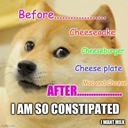 My dog be like... | Before................... Cheesecake; Cheeseburger; Cheese plate; AFTER................... Mac and Cheese; I AM SO CONSTIPATED; I WANT MILK | image tagged in memes,doge | made w/ Imgflip meme maker