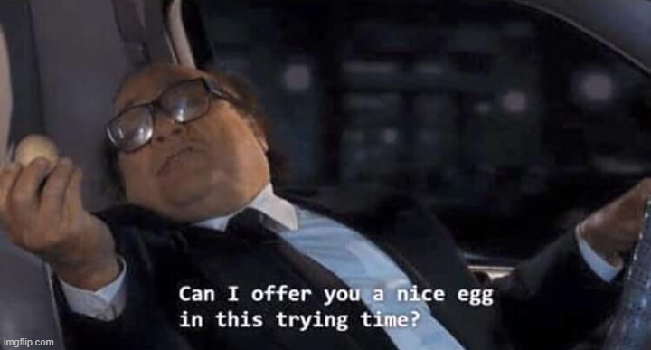 e g g | image tagged in can i offer you a nice egg in this trying time | made w/ Imgflip meme maker