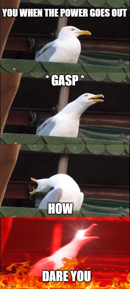 Inhaling Seagull | YOU WHEN THE POWER GOES OUT; * GASP *; HOW; DARE YOU | image tagged in memes,inhaling seagull | made w/ Imgflip meme maker