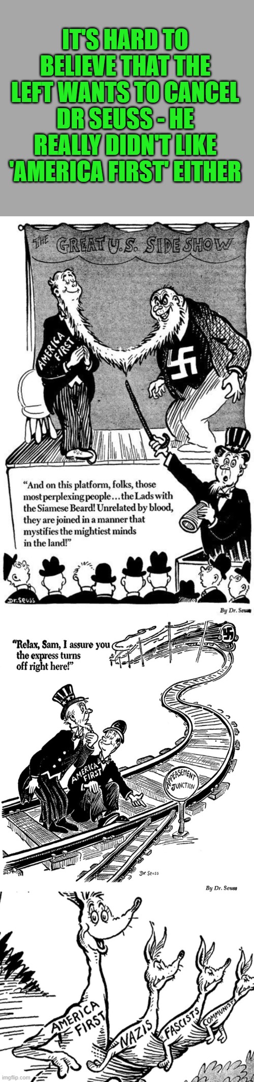 Dr Seuss' greatest hits | IT'S HARD TO BELIEVE THAT THE LEFT WANTS TO CANCEL DR SEUSS - HE REALLY DIDN'T LIKE 'AMERICA FIRST' EITHER | image tagged in dr suess,america first | made w/ Imgflip meme maker