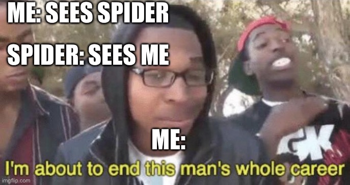 I’m about to end this man’s whole career | ME: SEES SPIDER; SPIDER: SEES ME; ME: | image tagged in i m about to end this man s whole career | made w/ Imgflip meme maker