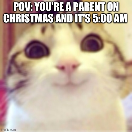 Happy cat | POV: YOU'RE A PARENT ON CHRISTMAS AND IT'S 5:00 AM | image tagged in happy cat,christmas,cats,parents | made w/ Imgflip meme maker