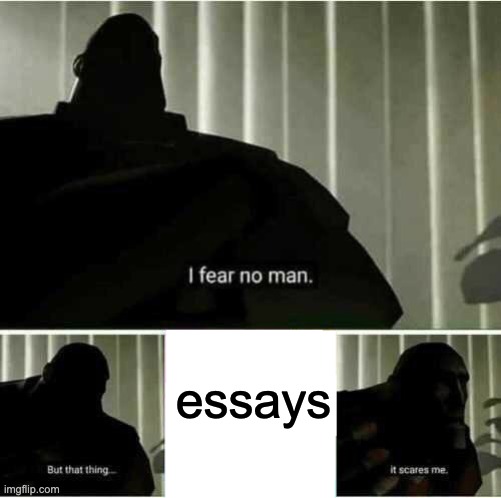 true |  essays | image tagged in i fear no man,school | made w/ Imgflip meme maker