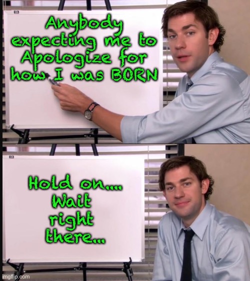 Jim Halpert Pointing to Whiteboard | Anybody expecting me to Apologize for how I was BORN; MRA; Hold on....
Wait 
right 
there... | image tagged in jim halpert pointing to whiteboard | made w/ Imgflip meme maker