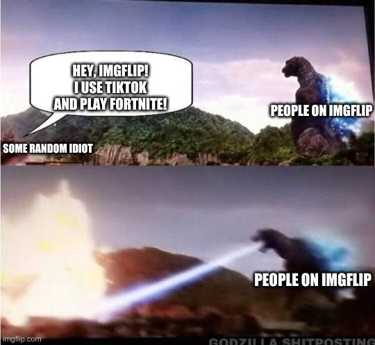 We All Hate Tiktok and Fortnite, Don't We? | HEY, IMGFLIP! I USE TIKTOK AND PLAY FORTNITE! PEOPLE ON IMGFLIP; SOME RANDOM IDIOT; PEOPLE ON IMGFLIP | image tagged in godzilla hates x | made w/ Imgflip meme maker
