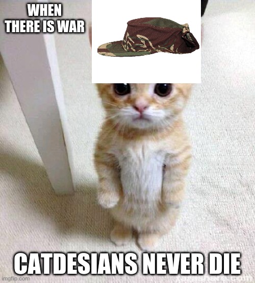 Cute Cat Meme | WHEN THERE IS WAR CATDESIANS NEVER DIE | image tagged in memes,cute cat | made w/ Imgflip meme maker