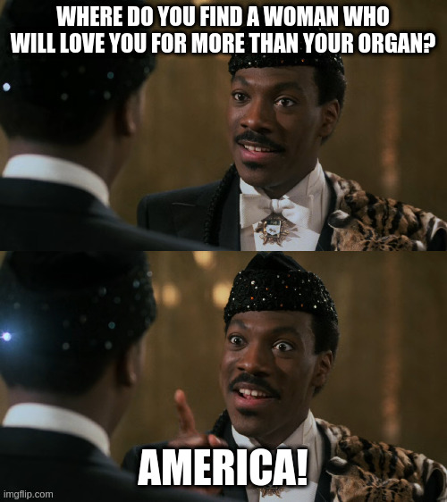 Please, please let this be of high enough quality for my lowly meme to qualify for your stream ;) | WHERE DO YOU FIND A WOMAN WHO WILL LOVE YOU FOR MORE THAN YOUR ORGAN? AMERICA! | image tagged in how decisions are made,quality,meme,eddy muphy | made w/ Imgflip meme maker