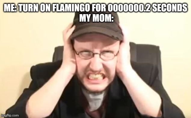 Flamingo |  ME: TURN ON FLAMINGO FOR 0000000.2 SECONDS
 MY MOM: | image tagged in my ears are bleeding,flamingo,mom,loud | made w/ Imgflip meme maker