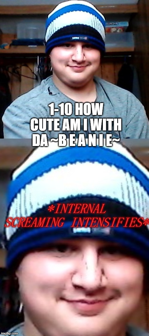 and new temp btw | 1-10 HOW CUTE AM I WITH DA ~B E A N I E~ | image tagged in zach w/ beanie internal screaming | made w/ Imgflip meme maker