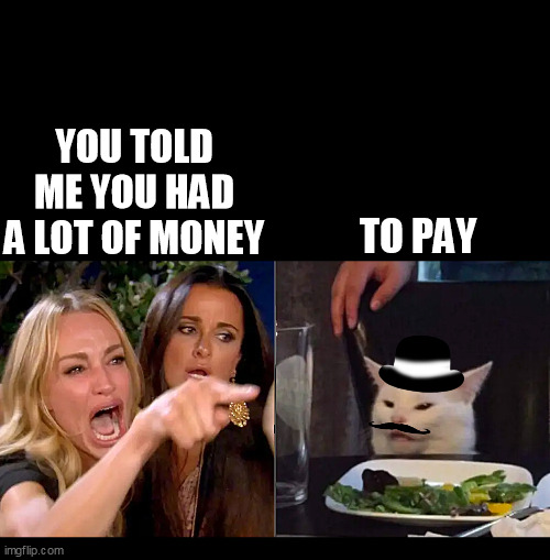 You told me that you have a lot of money | YOU TOLD ME YOU HAD A LOT OF MONEY; TO PAY | image tagged in white cat table with hat,white cat table dinner,white cat funny,viral white cat,angry lady cat | made w/ Imgflip meme maker
