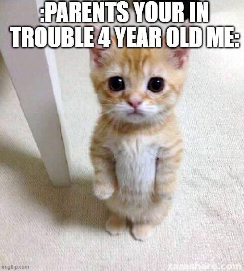 Cute Cat Meme | :PARENTS YOUR IN TROUBLE 4 YEAR OLD ME: | image tagged in memes,cute cat | made w/ Imgflip meme maker