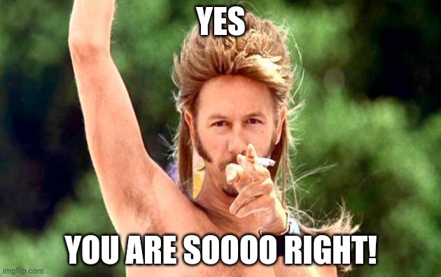 Joe Dirt right on | YES YOU ARE SOOOO RIGHT! | image tagged in joe dirt right on | made w/ Imgflip meme maker