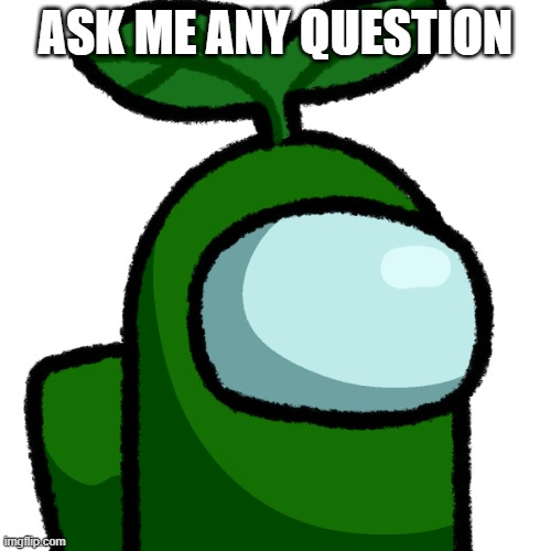 Transparent Plant | ASK ME ANY QUESTION | image tagged in transparent plant | made w/ Imgflip meme maker