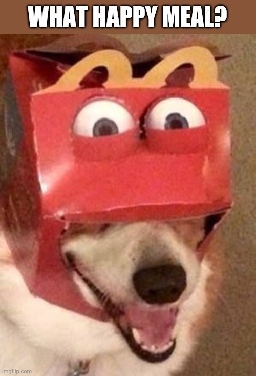 A VERY HAPPY MEAL | WHAT HAPPY MEAL? | image tagged in dogs,funny dogs,happy meal | made w/ Imgflip meme maker