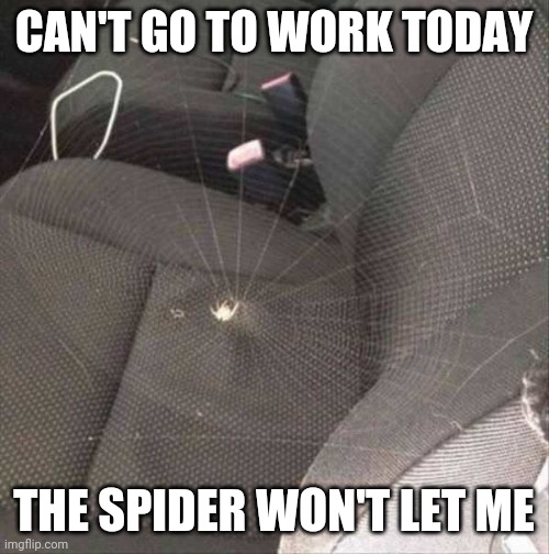GUESS I'LL STAY HOME | CAN'T GO TO WORK TODAY; THE SPIDER WON'T LET ME | image tagged in work,spider,skipper | made w/ Imgflip meme maker