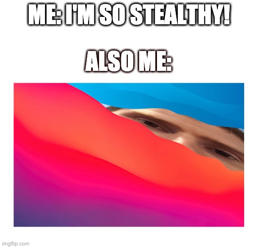 im sneaky | ME: I'M SO STEALTHY! ALSO ME: | image tagged in funny,stealth,memes | made w/ Imgflip meme maker