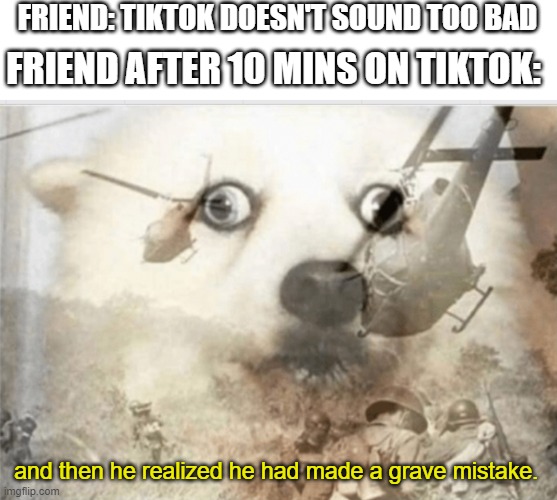 PTSD dog |  FRIEND: TIKTOK DOESN'T SOUND TOO BAD; FRIEND AFTER 10 MINS ON TIKTOK:; and then he realized he had made a grave mistake. | image tagged in ptsd dog | made w/ Imgflip meme maker