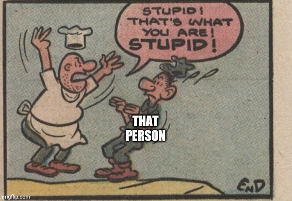 Stupid! That's what you are! Stupid! | THAT PERSON | image tagged in stupid that's what you are stupid | made w/ Imgflip meme maker