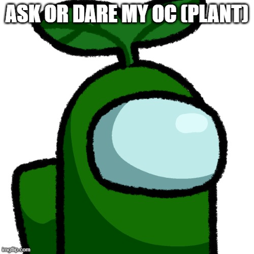 Transparent Plant | ASK OR DARE MY OC (PLANT) | image tagged in transparent plant | made w/ Imgflip meme maker