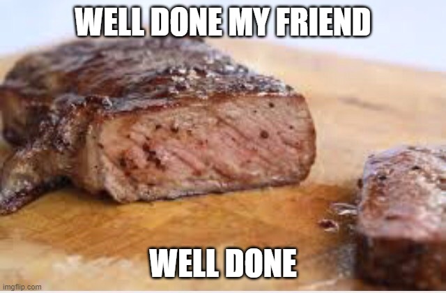WELL DONE | WELL DONE MY FRIEND WELL DONE | image tagged in well done | made w/ Imgflip meme maker