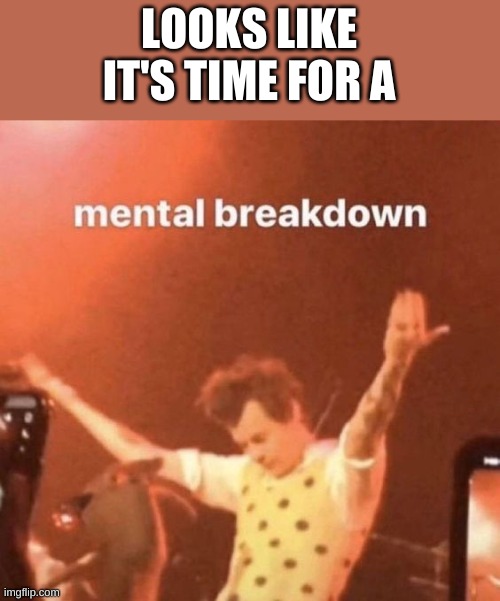 mental breakdown | LOOKS LIKE IT'S TIME FOR A | image tagged in mental breakdown | made w/ Imgflip meme maker