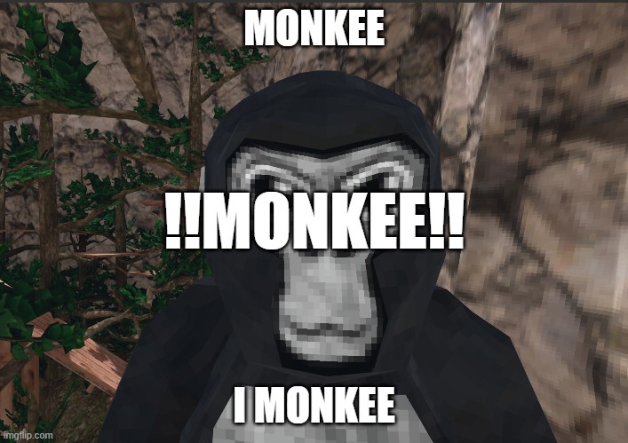 Monkee | MONKEE; !!MONKEE!! I MONKEE | image tagged in gorilla,gorilla tag,vr,game,quest,oculus | made w/ Imgflip meme maker