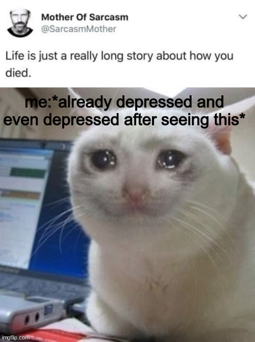 .... | me:*already depressed and even depressed after seeing this* | image tagged in crying cat | made w/ Imgflip meme maker