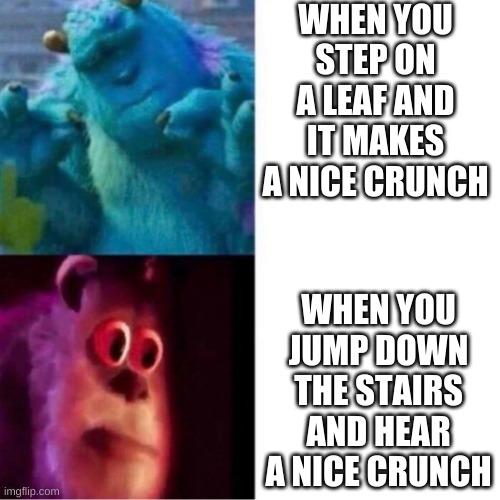 Monsters Inc | WHEN YOU STEP ON A LEAF AND IT MAKES A NICE CRUNCH; WHEN YOU JUMP DOWN THE STAIRS AND HEAR A NICE CRUNCH | image tagged in monsters inc,i like ya crunch g | made w/ Imgflip meme maker