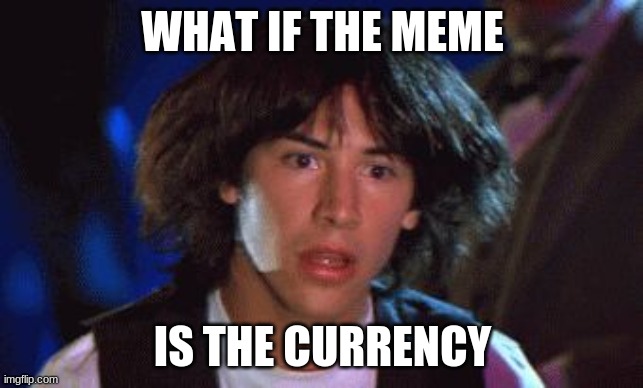 bill and ted | WHAT IF THE MEME; IS THE CURRENCY | image tagged in bill and ted | made w/ Imgflip meme maker