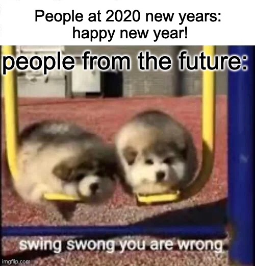 Doge on swing | People at 2020 new years:
 happy new year! people from the future: | image tagged in swing swong you are wrong | made w/ Imgflip meme maker