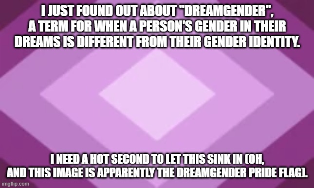 Seriously.  Gimme a Hot Second to Process This Info. (EDIT: I've Now Processed It.) | I JUST FOUND OUT ABOUT "DREAMGENDER", A TERM FOR WHEN A PERSON'S GENDER IN THEIR DREAMS IS DIFFERENT FROM THEIR GENDER IDENTITY. I NEED A HOT SECOND TO LET THIS SINK IN (OH, AND THIS IMAGE IS APPARENTLY THE DREAMGENDER PRIDE FLAG). | image tagged in dreamgender,lgbtq,memes,dreams,gender,identity | made w/ Imgflip meme maker